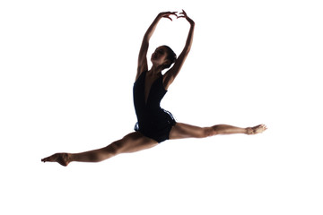 Female ballet dancer - 53769467