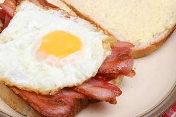 Bacon & Fried Egg Sandwich