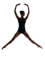 Female ballet dancer - 53772493