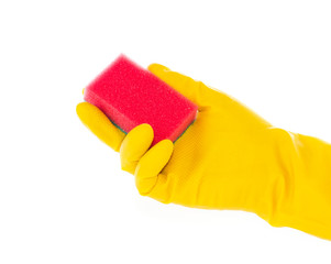 Hand in rubber glove with red cleaning sponge