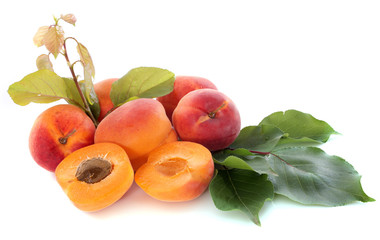 apricots
