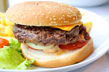Cheese burger © Photographer