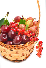 Basket with ripe cherry, currants and gooseberries
