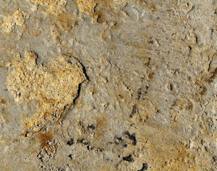 Dirty Concrete Close-Up