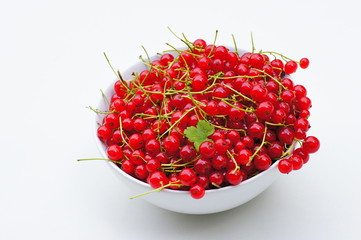 Rote Johannisbeeren