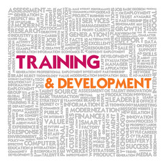 Fototapeta premium Word cloud for business and finance concept, Training and Devel