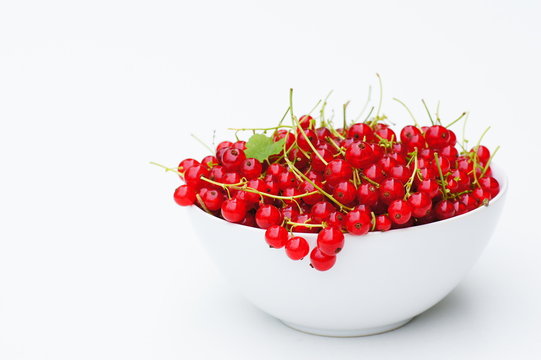Rote Johannisbeeren