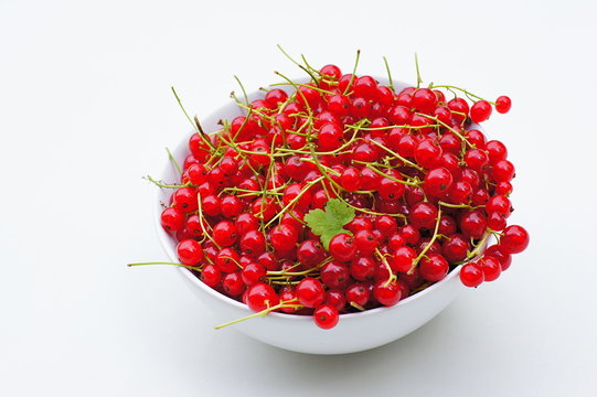 Rote Johannisbeeren