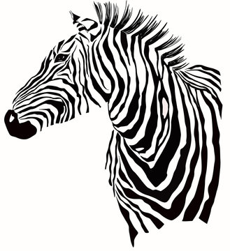11,853 BEST Zebra Silhouette IMAGES, STOCK PHOTOS & VECTORS | Adobe Stock