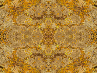 Kaleidoscope moss texture.Background.