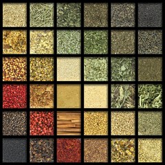 Collection of herbs and spices with gradient colors