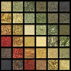 Küchenrückwand glas motiv Collection of herbs and spices with gradient colors © viperagp