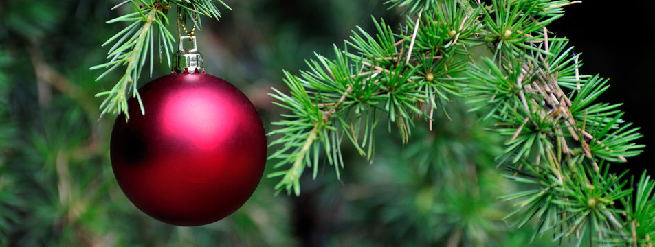 Boule rouge dans un arbre de Noël