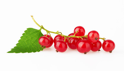 Red Currant with leaf