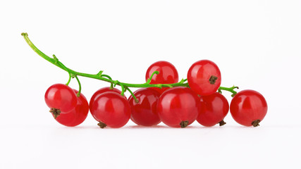 Red Currant