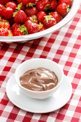 Creamy chocolate pudding on checkered red and white table cloth.
