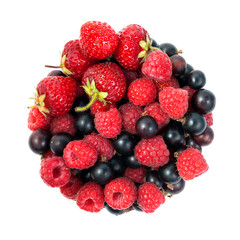 Wild berries