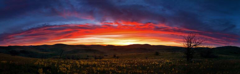 Mountain hills with trees and flowers at sunset