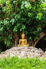 Buddha under the Bo tree