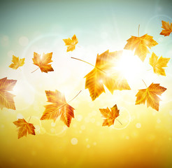 Autumn background with leaves - 53786250