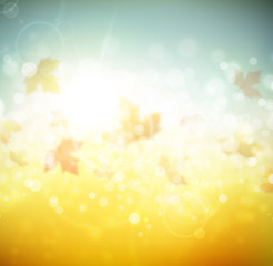 Obraz premium Autumn background