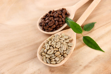 Green  and brown coffee beans in spoons and leaves