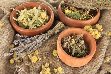 Medicinal Herbs in wooden bowls on bagging close-up