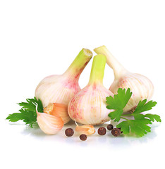 Garlic isolated on white