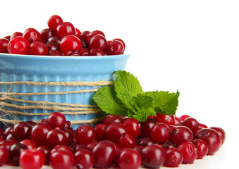 Ripe red cranberries in bowl, isolated on white.