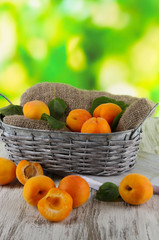 Apricots in basket on wooden table on nature background
