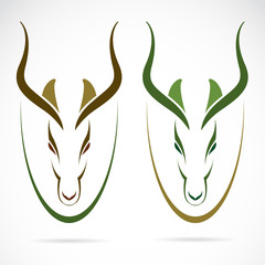Vector image of an head impala and horns.