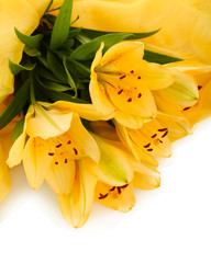 Fototapeta na wymiar Beautiful orange lilies, isolated on white