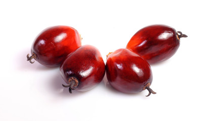 Oil palm fruit