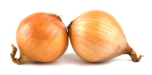 Fresh bulbs of onion on a white background