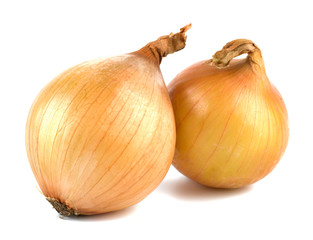 Fresh bulbs of onion on a white background