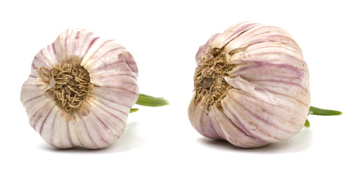 Garlic isolated on white background