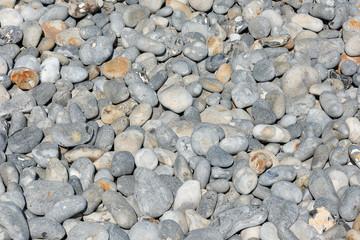Pebbles on a shingle beach.