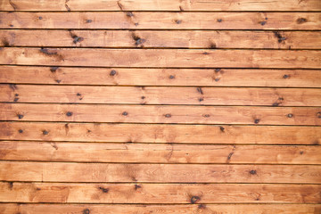 Fototapeta premium Wood Texture