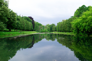 Silent Lake near green forest