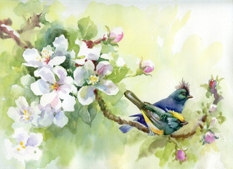 Painting collection Birds of spring - 53792086