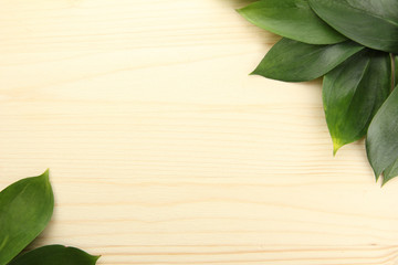 beautiful green leaves, on wooden background