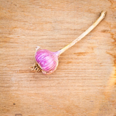 The head of the young garlic on a board
