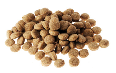 Isolated Dry Dog Food