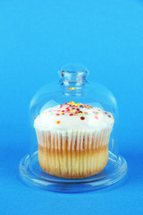Cupcake on saucer with glass cover, on color background