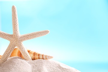 Fototapeta na wymiar Starfish and shell on sand with blue background.