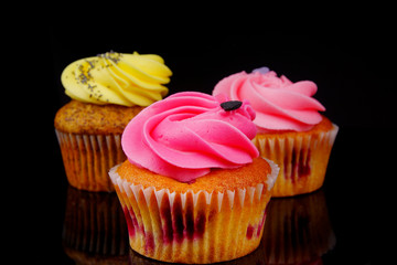 cupcake #5