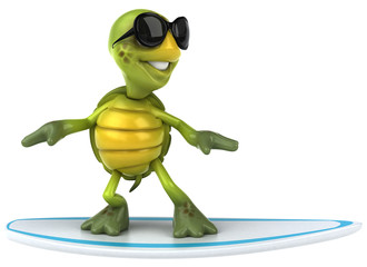 Fun turtle