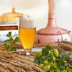 beer on tap