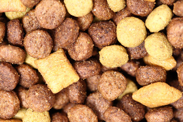 Macro dog food (Texture)