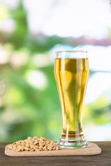 Beer in glass and nuts on table on nature background